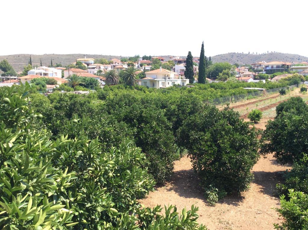נאפפליו Hotel Aspassia מראה חיצוני תמונה